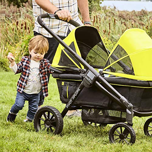 Evenflo Play-Away Portable Playard Deluxe, Adventurer , 15 Sq Ft (Pack of 1)