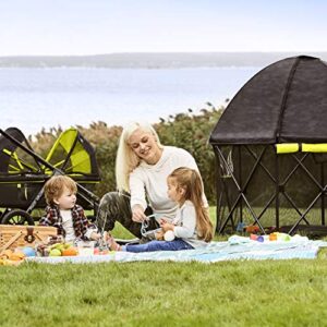 Evenflo Play-Away Portable Playard Deluxe, Adventurer , 15 Sq Ft (Pack of 1)