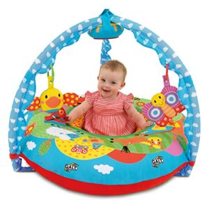 galt toys, playnest & gym – farm, baby activity center & floor seat