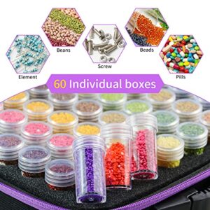 60 Slots Diamond Painting Storage Containers Upgraded Accessories and Tools Pen Tray, Diamond Painting Tools Organizer, Shockproof Diamond Art Storage Case, Jewelry Beads Storage Box