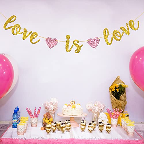 Gold Glitter Love is Love Banner, Lgbt Pride Party Decorations, Coming Out, Engagement, Wedding Celebrations Party Decor Supplies