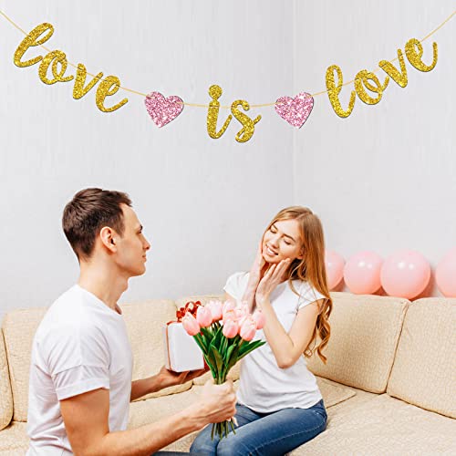 Gold Glitter Love is Love Banner, Lgbt Pride Party Decorations, Coming Out, Engagement, Wedding Celebrations Party Decor Supplies