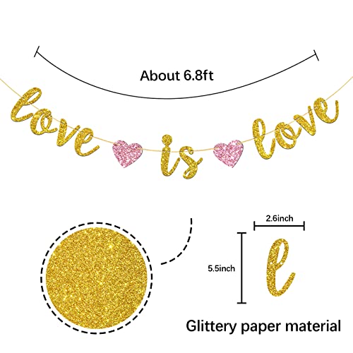 Gold Glitter Love is Love Banner, Lgbt Pride Party Decorations, Coming Out, Engagement, Wedding Celebrations Party Decor Supplies