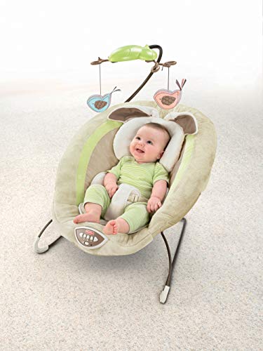 Fisher-Price My Little Snugabunny Deluxe Bouncer