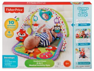 fisher-price 3-in-1 musical activity gym, woodland