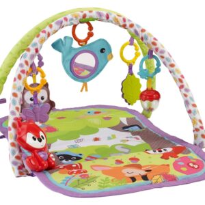 Fisher-Price 3-in-1 Musical Activity Gym, Woodland