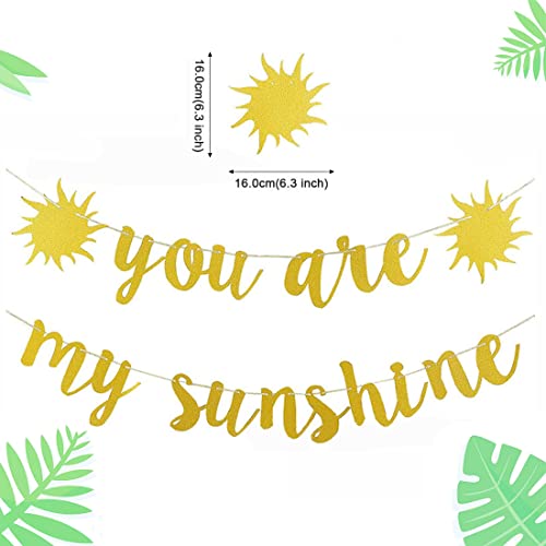 Morndew 2 Set Gold Glitter You are My Sunshine Banner for Kids Theme Birthday Party Gender Reveal Party Baby Shower Bunting Decorations