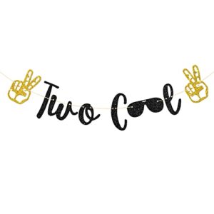 talorine two cool birthday banner, boy’s 2nd birthday, sunglasses sign, 2 years old party decorations supplies, black glitter