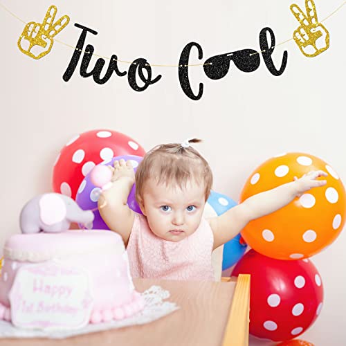 Talorine Two Cool Birthday Banner, Boy's 2nd Birthday, Sunglasses Sign, 2 Years Old Party Decorations Supplies, Black Glitter