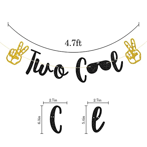 Talorine Two Cool Birthday Banner, Boy's 2nd Birthday, Sunglasses Sign, 2 Years Old Party Decorations Supplies, Black Glitter