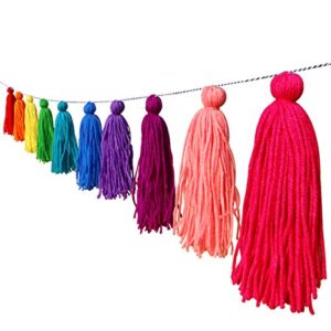 binpeng big size tassel garland h6.3in polyester yarn colorful pom pom tassel banner decorative wall hanging for home decoration wedding birthday baby shower party supplies
