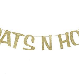 Boats N' Hoes Banner Sign Garland Gold Glitter for Bachelorette Nautical Theme Engagement Bridal Shower Birthday Decor Photo Booth Props