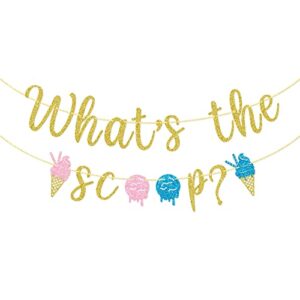 what’s the scoop banner, ice cream gender reveal banner, baby shower decorations