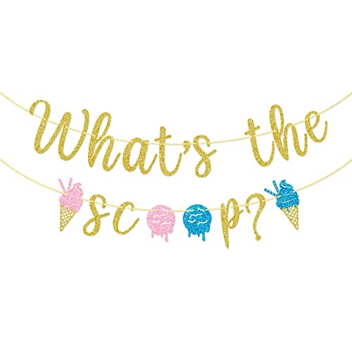 What's The Scoop Banner, Ice Cream Gender Reveal Banner, Baby Shower Decorations