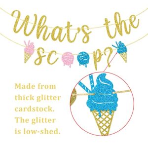 What's The Scoop Banner, Ice Cream Gender Reveal Banner, Baby Shower Decorations