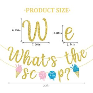 What's The Scoop Banner, Ice Cream Gender Reveal Banner, Baby Shower Decorations