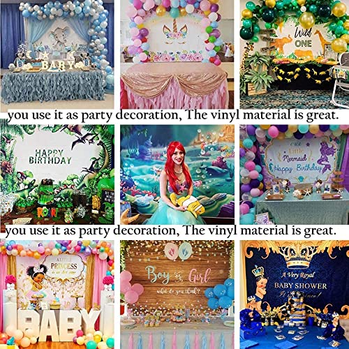 Batt Boho Rainbow Backdrop 1st Birthday for Kids Theme Baby Shower Neutral Gender Reveal Banner Background Photography Happy (5x3ft)