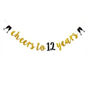 cheers to 12 years fun gold banner sign for 12th birthday / anniversary party bunting supplies decorations garlands