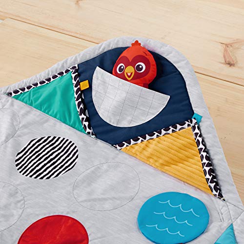 Baby Einstein Sensory Play Space Newborn-to-Toddler Discovery Gym and Play Mat, Ages Newborn +