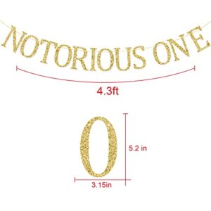 Notorious One Banner, First Birthday Party Decorations Supplies, Hip Hop Theme One Year Old Bday Bunting Sign, Pre-strung, Gold Glitter