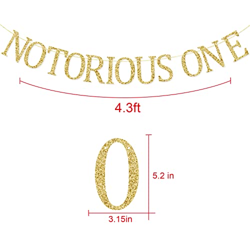 Notorious One Banner, First Birthday Party Decorations Supplies, Hip Hop Theme One Year Old Bday Bunting Sign, Pre-strung, Gold Glitter