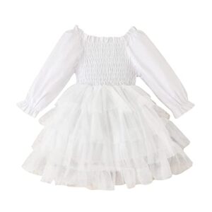toddler fall dress baby tutu princess birthday dress little girl long sleeve winter wedding party casual clothes 1-4t