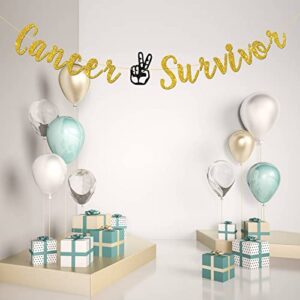 Talorine Cancer Survivor Banner, Adventure Awaits Party, Cancer Theme, Cancer Free Party Decorations (Gold Glitter)