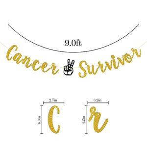 Talorine Cancer Survivor Banner, Adventure Awaits Party, Cancer Theme, Cancer Free Party Decorations (Gold Glitter)