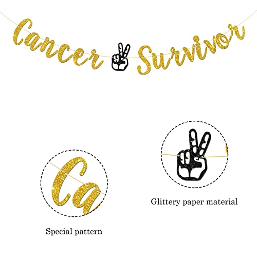 Talorine Cancer Survivor Banner, Adventure Awaits Party, Cancer Theme, Cancer Free Party Decorations (Gold Glitter)