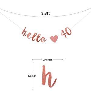 Glitter Hello 40 Birthday Banner - Great for 40th Birthday Wedding Party Decorations - Funny Forty Birthday Sign Party Decor