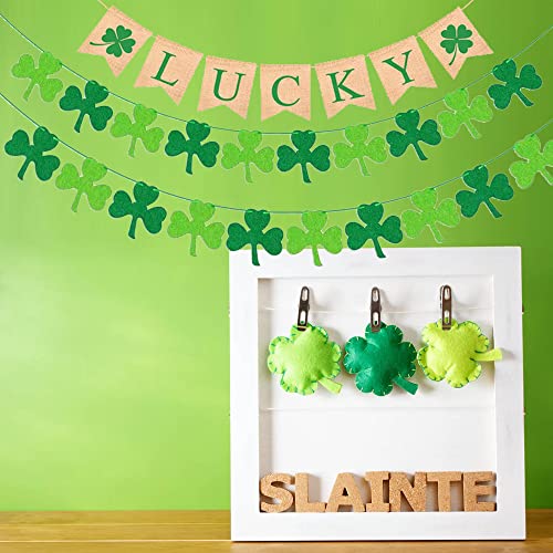 DmHirmg St Patricks Day Decorations,St Patricks Day Garland, Hanging Swirls with Garland,St Patricks Day Banner Ceiling Hanging and Wall Decoration (3 Sheets)