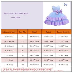 WZSYGDTC 3M-6T Flower Girl Ruffle Lace Tulle Dresses Thanksgiving Day Dress Christmas Tutu Gown Toddler Formal Dress (Navy, 3 Months-6 Months)