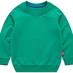 PTPUKE Toddler Boys Girls Solid Cotton Thin Sweatshirt Crewneck Long Sleeve top Green