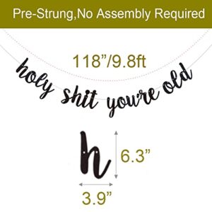 Holy Shit You're Old Banner, Pre-Strung, No Assembly Required, Funny Black Glitter Paper Party Decorations for 30th 40th 50th 60th 70th 80th 90th Birthday Party Supplies, Letters Black,ABCpartyland