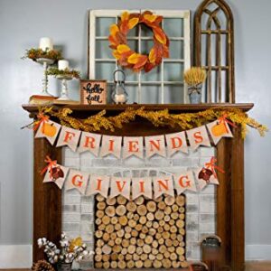 Friendsgiving Party Decorations，Thanksgiving Decorations，Friendsgiving Decorations Supplies，Thanksgiving Pumpkin and Turkey Banner,Thanksgiving Friendship Party Decorations