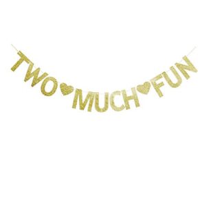 two much fun banner, gold glitter sign garland for kids’ / boys’ / girls’ / twins’ 2nd birthday party decor supplies