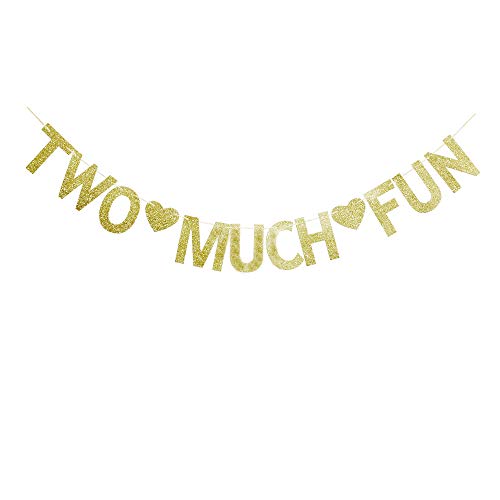 Two Much Fun Banner, Gold Glitter Sign Garland for Kids' / Boys' / Girls' / Twins' 2nd Birthday Party Decor Supplies