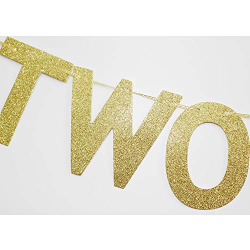 Two Much Fun Banner, Gold Glitter Sign Garland for Kids' / Boys' / Girls' / Twins' 2nd Birthday Party Decor Supplies