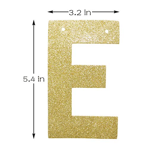 Two Much Fun Banner, Gold Glitter Sign Garland for Kids' / Boys' / Girls' / Twins' 2nd Birthday Party Decor Supplies