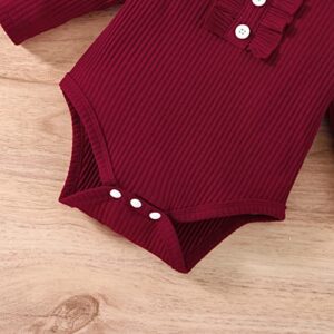 Infant Toddler Baby Girl Fall Winter Outfits Long Sleeve Romper Knitted Bodysuit with Plaid Skirt 2Pcs Christmas Outfits (Wine Red, 9-12 Months)