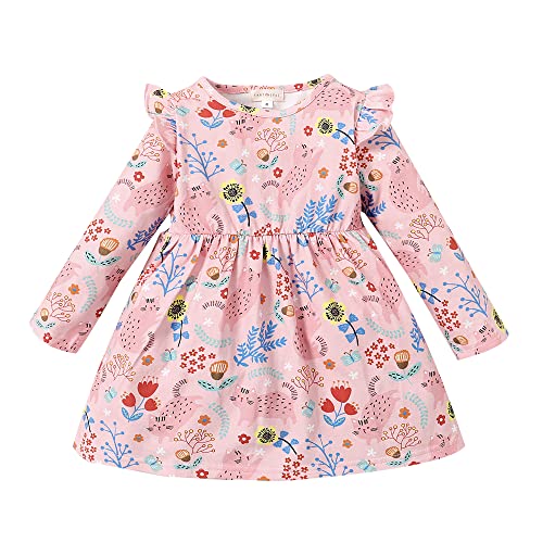 Toddler Girl Floral Cat Pink Dress Long Sleeve Baby Girl Cotton Fall Outfit(Cat/4T)