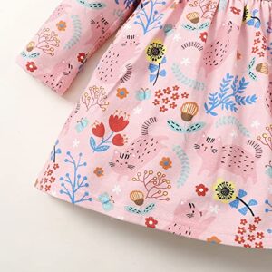 Toddler Girl Floral Cat Pink Dress Long Sleeve Baby Girl Cotton Fall Outfit(Cat/4T)