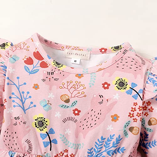 Toddler Girl Floral Cat Pink Dress Long Sleeve Baby Girl Cotton Fall Outfit(Cat/4T)