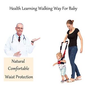 Baby Walker Toddler Walking Harness, Full Adjustable Breathable Baby Walking Helper, Functional Safety Stand Up and Walking Belt for Newborn（7-24months) (Red & Blue)