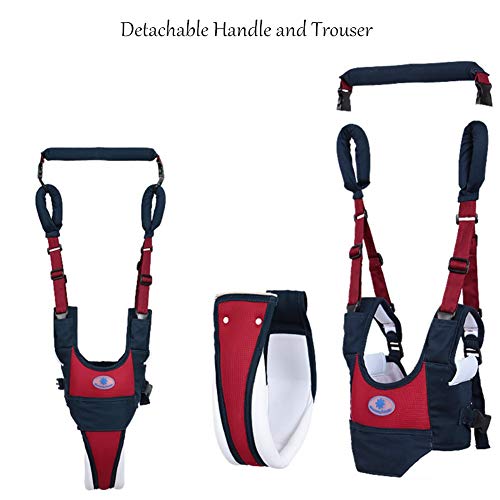 Baby Walker Toddler Walking Harness, Full Adjustable Breathable Baby Walking Helper, Functional Safety Stand Up and Walking Belt for Newborn（7-24months) (Red & Blue)