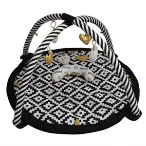 Bacati Love Baby A Countivity Gym with Mat, Black/Gold