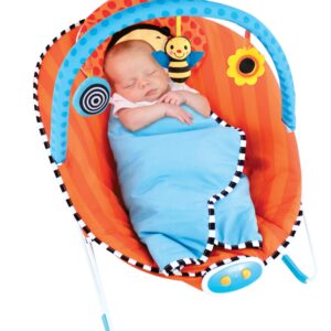 Sassy Cuddle Bug Bouncer, Whimsical Bumble Bee