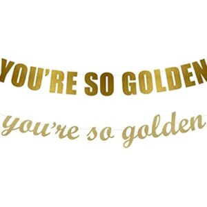 You're So Golden banner - Golden Birthday,Youre so golden Party, Golden birthday Party Banner, Birthday party Hanging letter sign (Customizable)