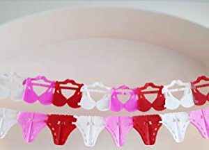 Yani’s Gifts Lingerie Party Decorations, Bra and Panties Tissue Paper Streamers Banner, 1 Bra and 1 Panty, Each Over 8.5 ft Long, Stag Party, Hen Party, Final Fiesta Bachelorette Party, Bridal Shower