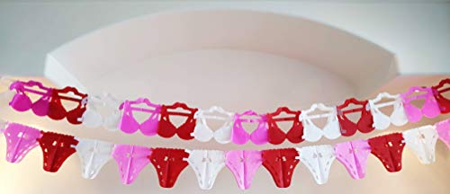 Yani’s Gifts Lingerie Party Decorations, Bra and Panties Tissue Paper Streamers Banner, 1 Bra and 1 Panty, Each Over 8.5 ft Long, Stag Party, Hen Party, Final Fiesta Bachelorette Party, Bridal Shower